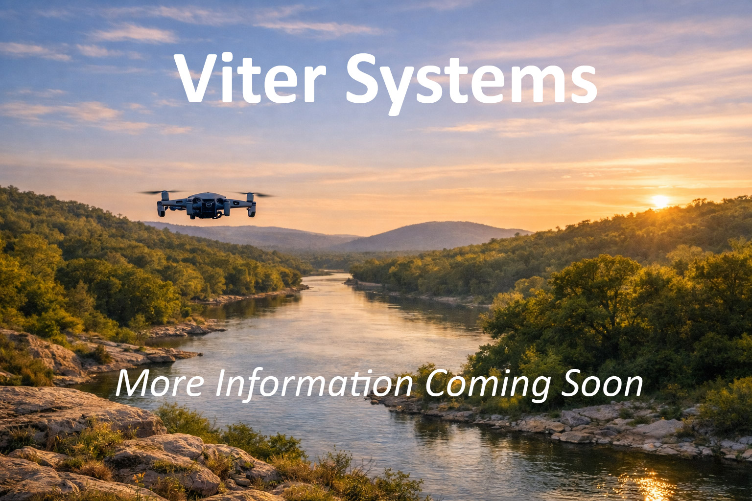 Viter Systems